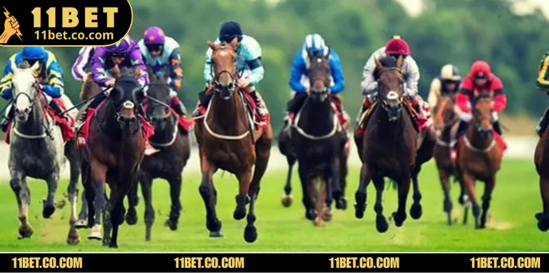 Các loại hình cá độ ngựa online phổ biến mà ai cũng nên biết