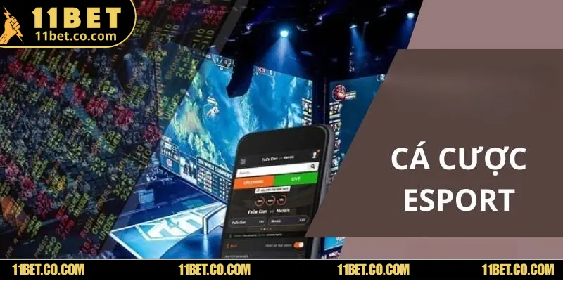 E-sports SABA Tại 11BET – Trải Nghiệm Cá Cược Đỉnh Cao Đôi nét nổi bật về sảnh E-sports SABA tại 11BET