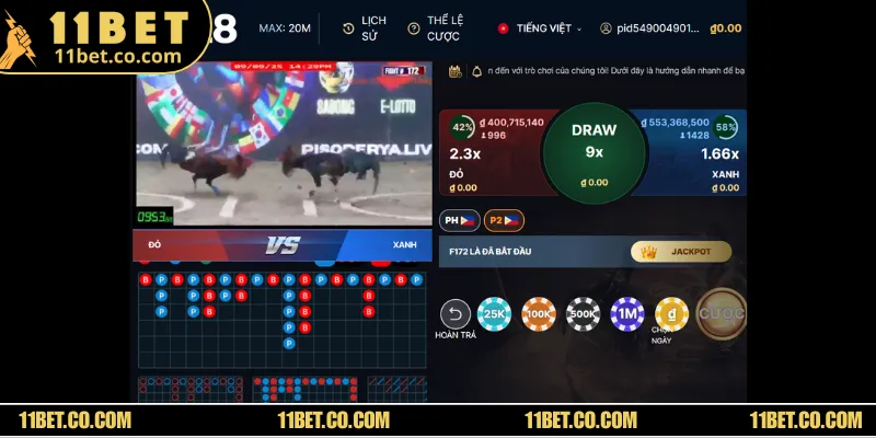 Nhà cái cung cấp mức kèo đảm bảo chất lượng và xanh chín