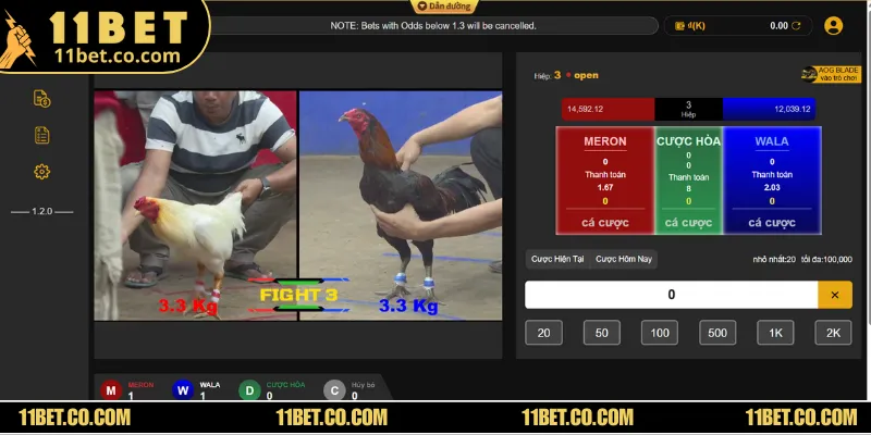 Đá Gà Campuchia - Trải Nghiệm Đấu Trường Siêu Kịch Tính Sử dụng công nghệ phát trực tiếp hiện đại cho các trận đá gà Campuchia